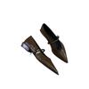 Low Heels Pointed Single Shoes Women's 2025 Spring and Autumn New Mary Jane Women's Shoes Thick Heels