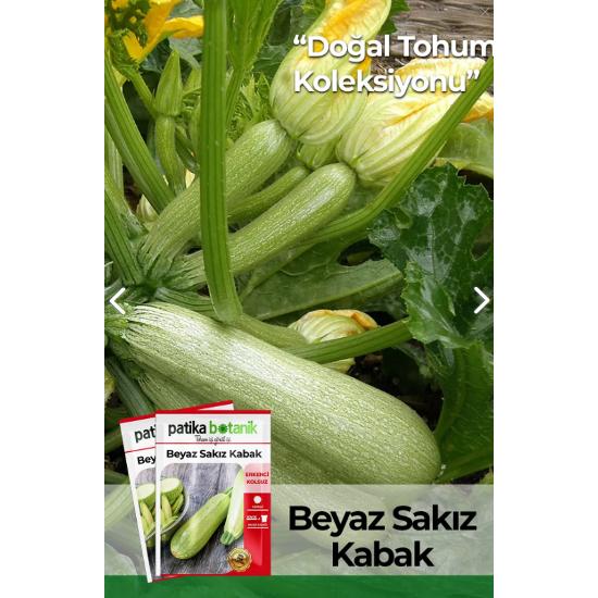 

50 семян тыквы «Белая камедь»