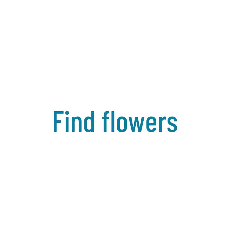18k Gold Plated Silver Needle Retro Resin Marbled Flower Stud Earrings