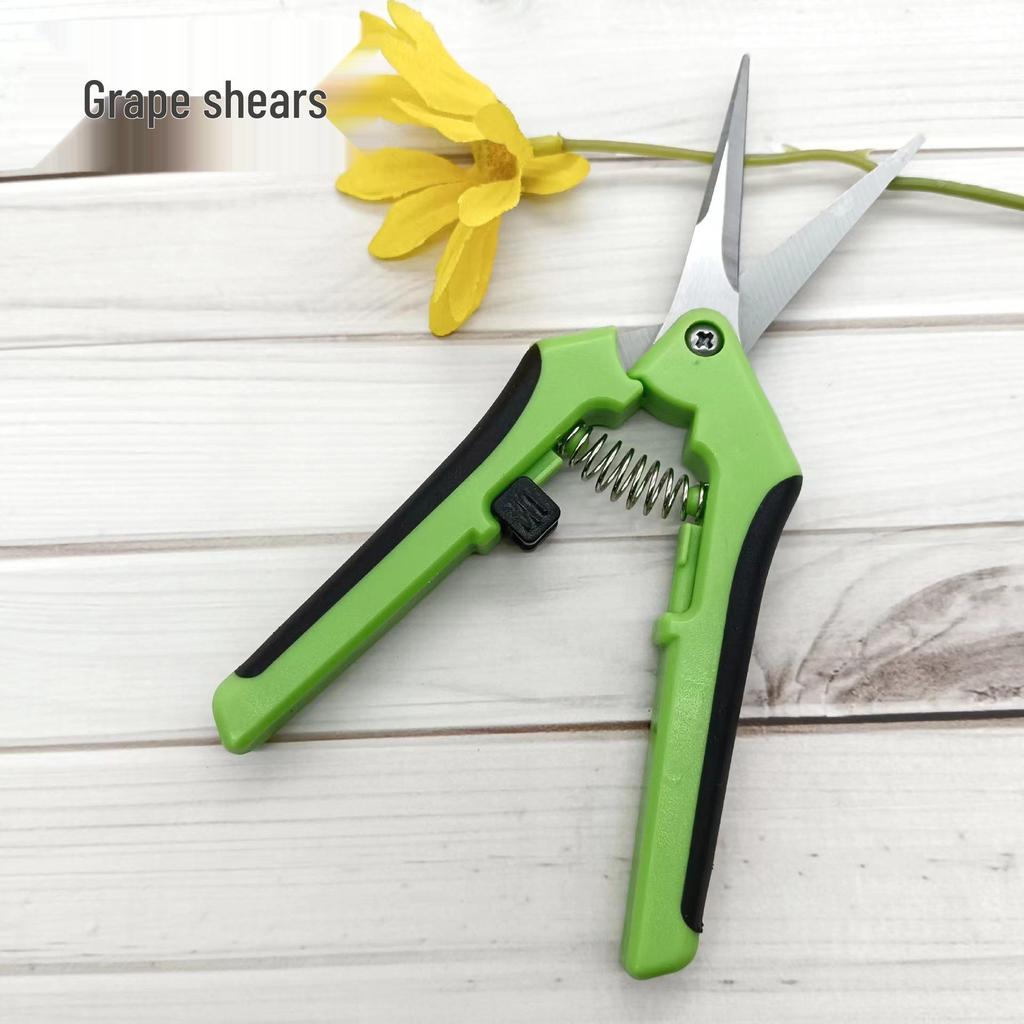 Stainless Steel Grape & Garden Pruning Scissors