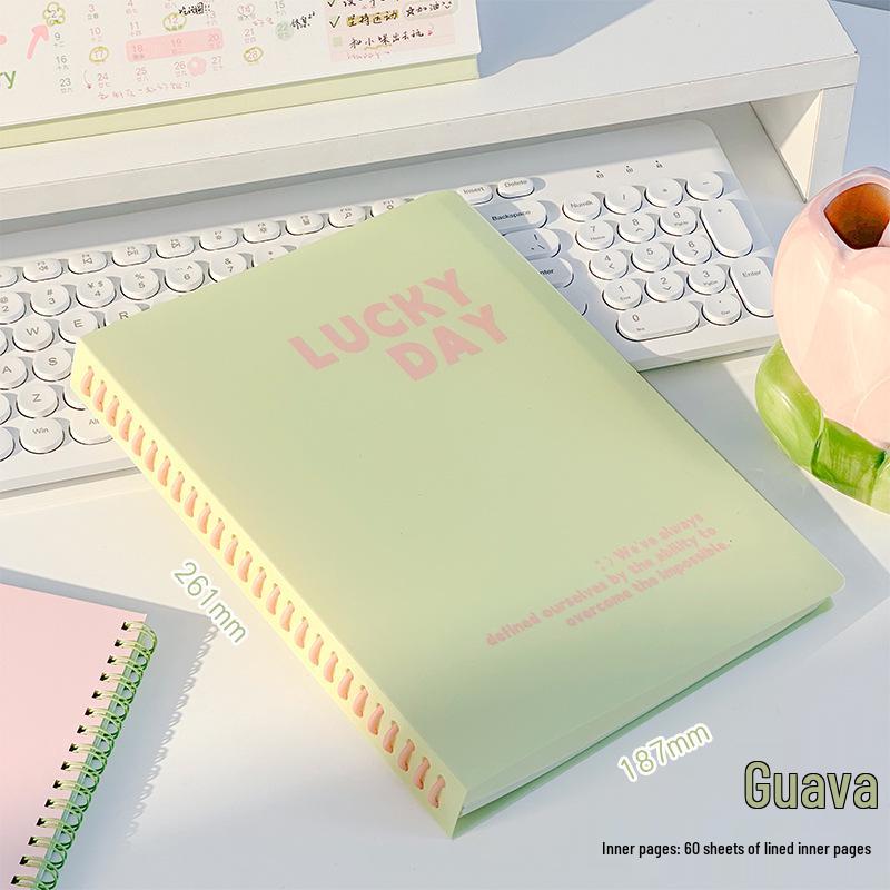 

LuckyDay B5 потовщений зошит на спіралі, 2 клас 3 клас, високоякісна спіраль для учнів