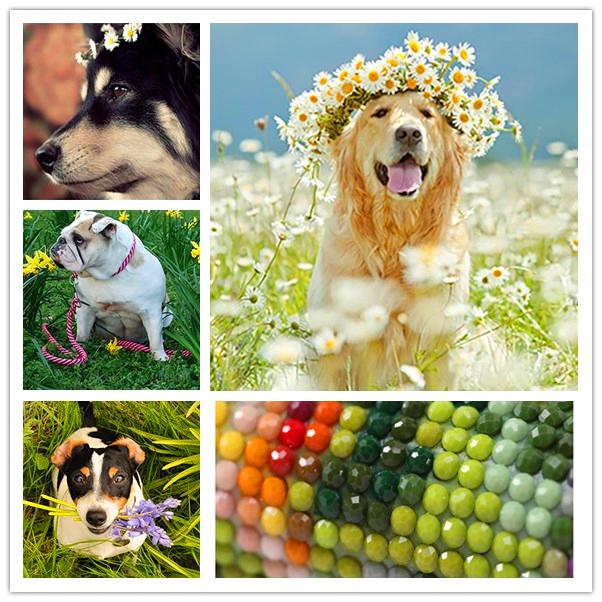 

ЗООЯ DIY 3D круглая алмазная картина животное собака вышивка крестиком домашний декор