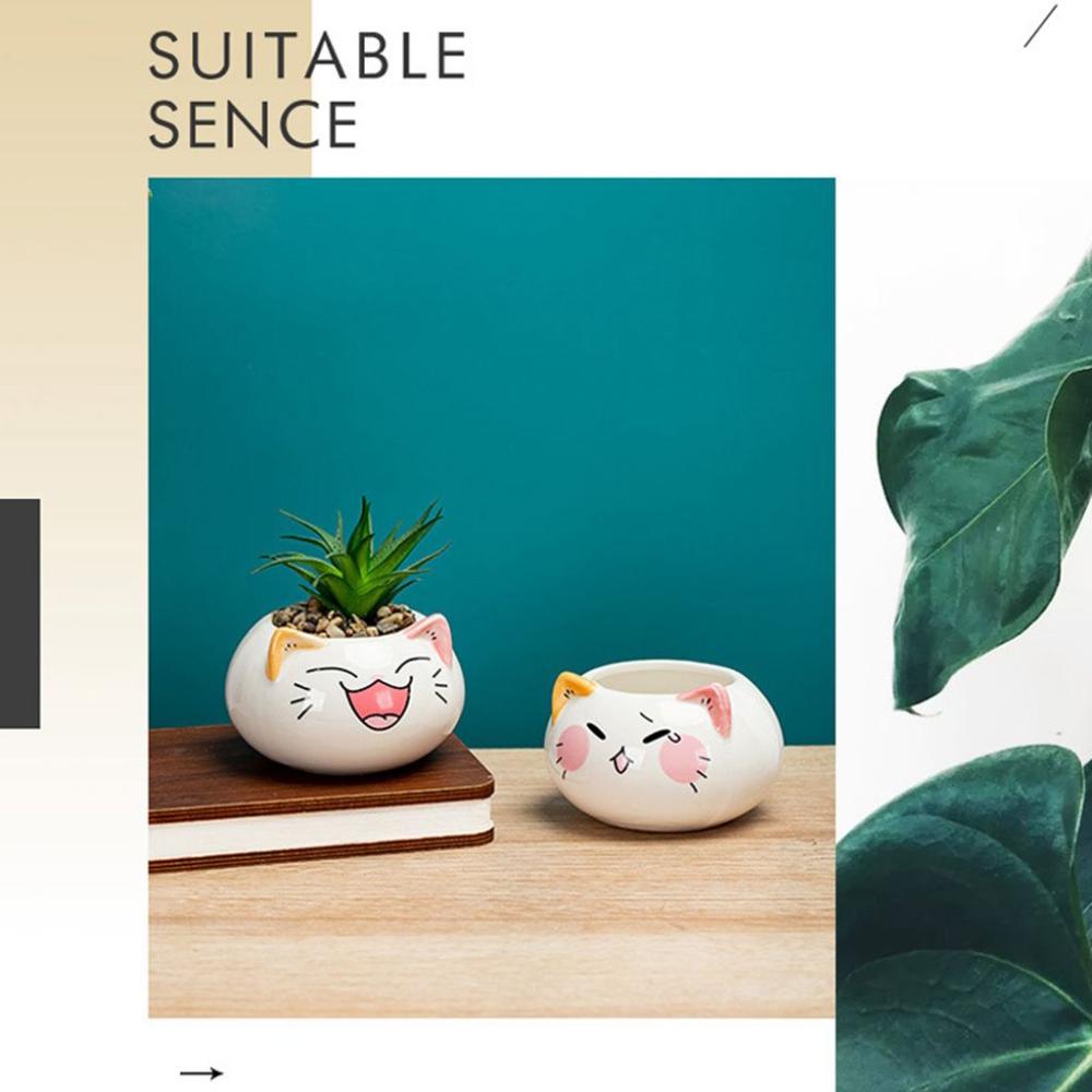 Table Decor Ornament Flower Planter Garden Supplies Bonsai Accessories Flowerpot Succulent Potted