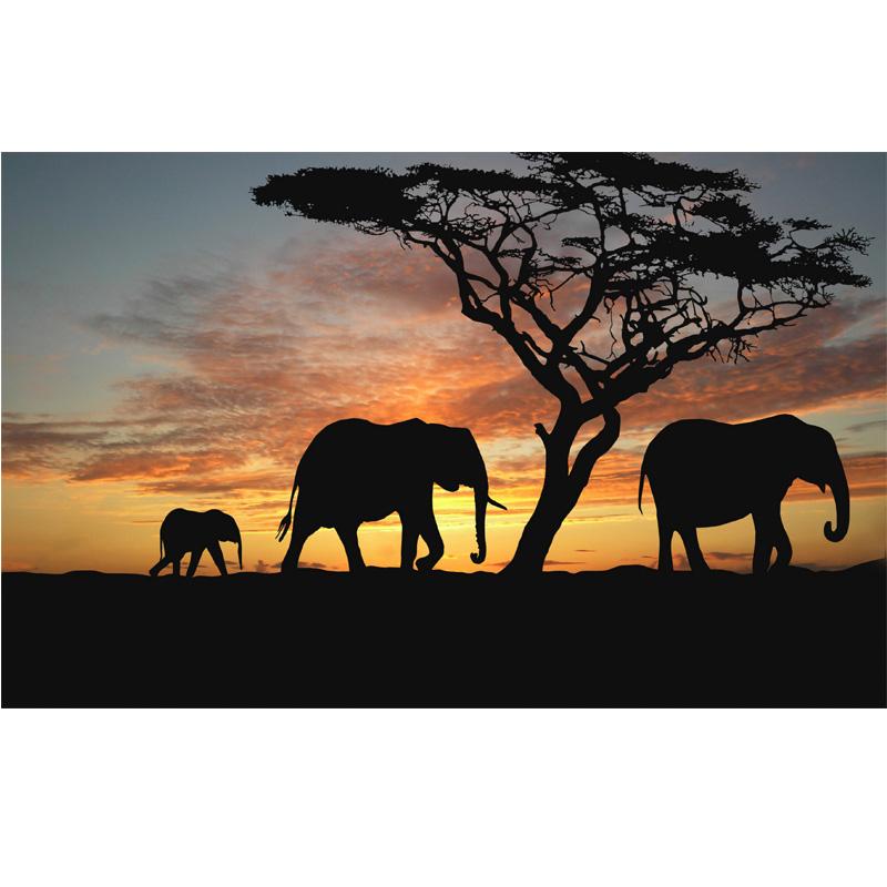 

Плакаты со слонами и принты, настенные художественные фотографии для гостиной, холст, картина, животный пейзаж, куадро, домашний декор, современный без рамки 70x100cm No Fram