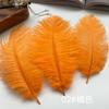 Ostrich Hair Colored Feathers 20-25Cm Wedding Table Lamp Decoration Stage Diy Material Clothing Accessories