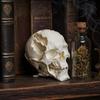 Accesorii de petrecere – Accesorii de Halloween