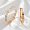 European and American hot-selling fashion commuting simple and elegant large circle gold geometric shape hollow metal earrings earrings