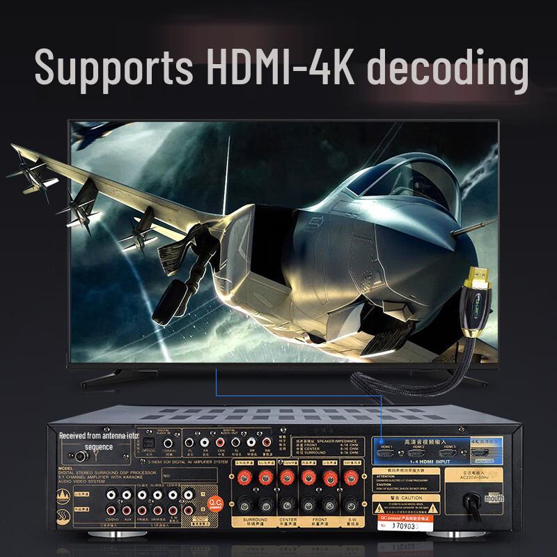 SANSUI T5 5.1-Channel Home Theater Ceiling Speaker System CN Plug (adapter Included)