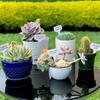 100PCS Writable Plant Gardening Flower Label Plant Label Tree Meaty Label