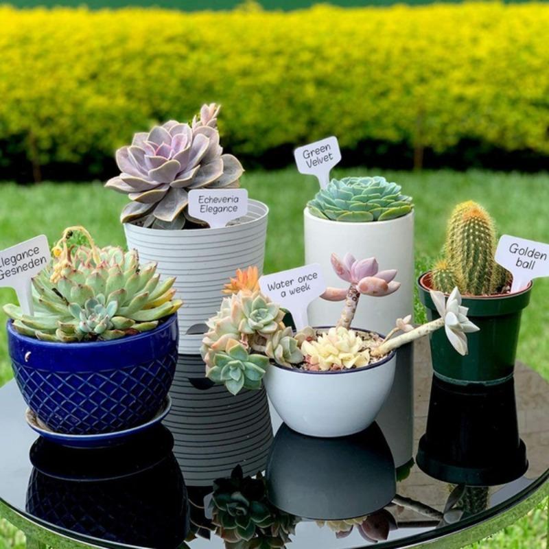 100PCS Writable Plant Gardening Flower Label Plant Label Tree Meaty Label