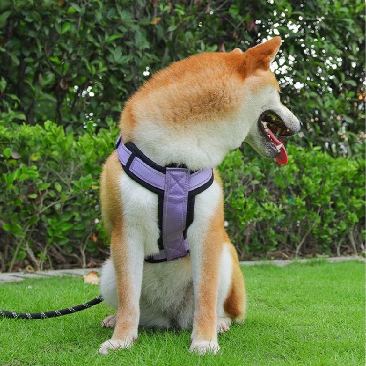 Adjustable Durable Traction Rope Interactive Lead Leash Dog Collars Pet Harness