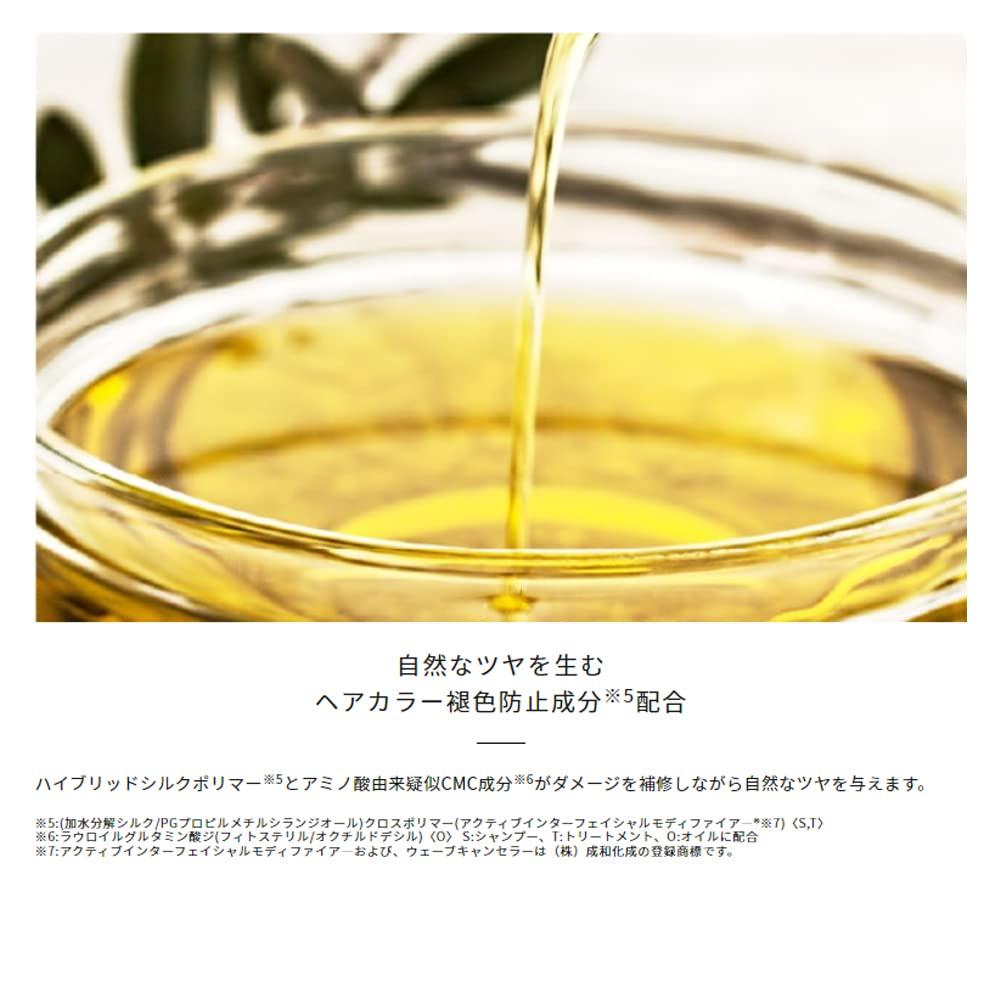 Hahonico Keratex Fiber Shampoo 500ml (Refill)