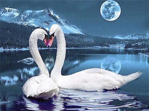 

Полная квадратная/круглая алмазная художественная картина лебедь вышивка мозаика животное озеро домашний декор настенная наклейка Full Round 20x30CM