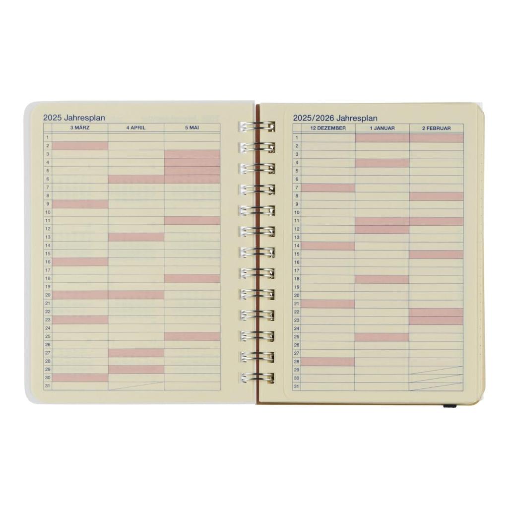 [Delfonics Planner 2025-2026 Edition / Starting March 2025] Rollbahn Yummy Medium Monthly Planner (D (Sandwich))