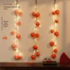 2025 Spring Festival Persimmon String Lights: Year of the Snake New Year Ornaments