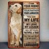 Labrador Theme Design, Flat Print Vintage Metal Sign, Square Iron Hanging Picture, Wall Decoration, Suitable for Kitchen, Home