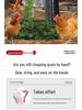 Stainless Steel Vegetable and Fodder Chopper for Poultry