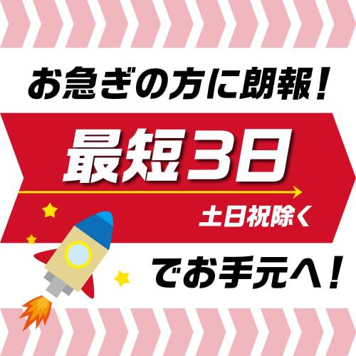 Plus Rubber Stamp Invoice Registration Number Stamp [Small] Wooden 52-505