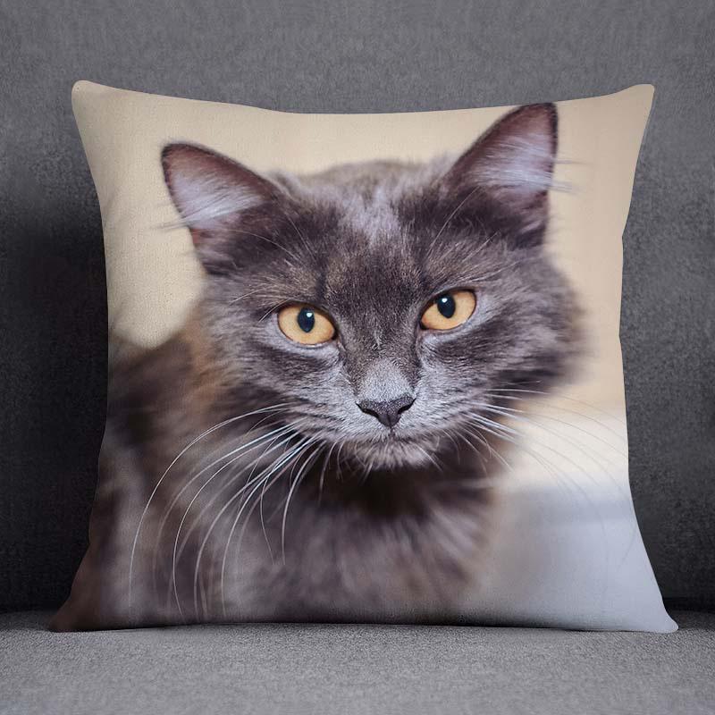 Cat Series Pattern Decorative Pillowcase, Square Home Office Decoration (45Cm * 45Cm)