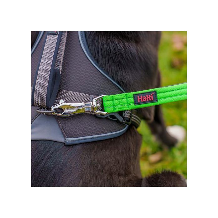 Laisse de sécurité pour chien - Halti - Halti BRIG - 1,5 m - Vert Fluo - Clip ultra-solide - Poignées rembourrées