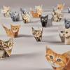 1 Pack of 50 Sheets of Cat-Shaped Origami Paper for Adult Animal Paper Sculpture, Home and Office Decoration Craft Set