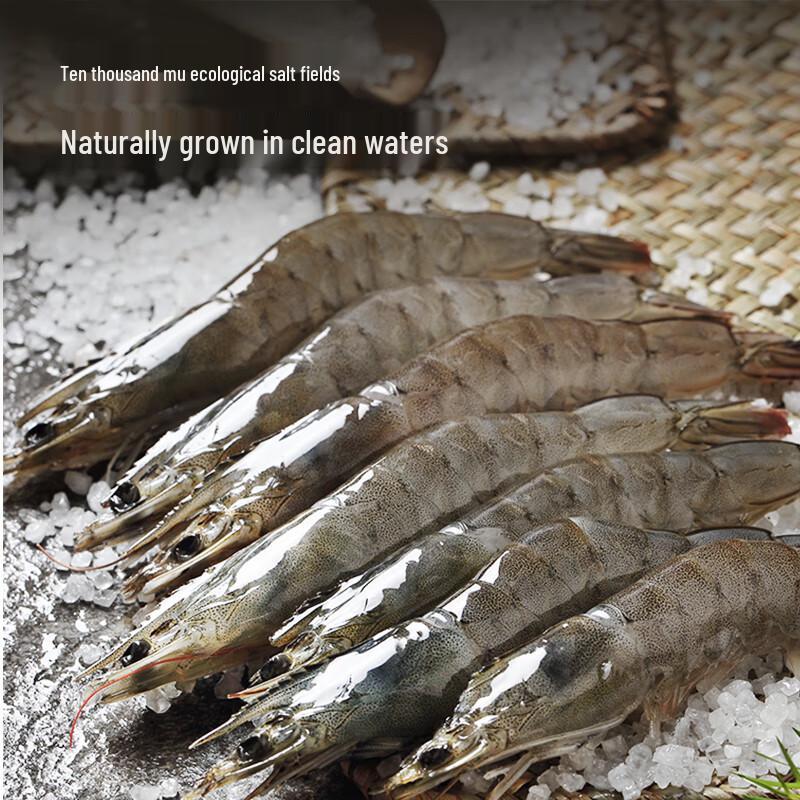 No. 1 Member Store Organic Yantian Shrimp Products