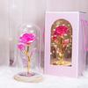 Preserved Rose In Dome with LED Light Artificial Eternal Rose Flower Gifts for Her Mom Women Valentine's Day Mother's Day Christmas Birthday Gift