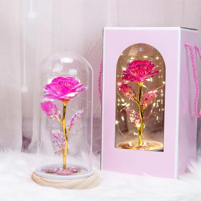 Preserved Rose In Dome with LED Light Artificial Eternal Rose Flower Gifts for Her Mom Women Valentine's Day Mother's Day Christmas Birthday Gift