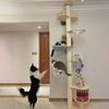 Solid Wood Cat Condo & Bed with Integrated Tree and Space-Saving Design for Large and Small Cats
