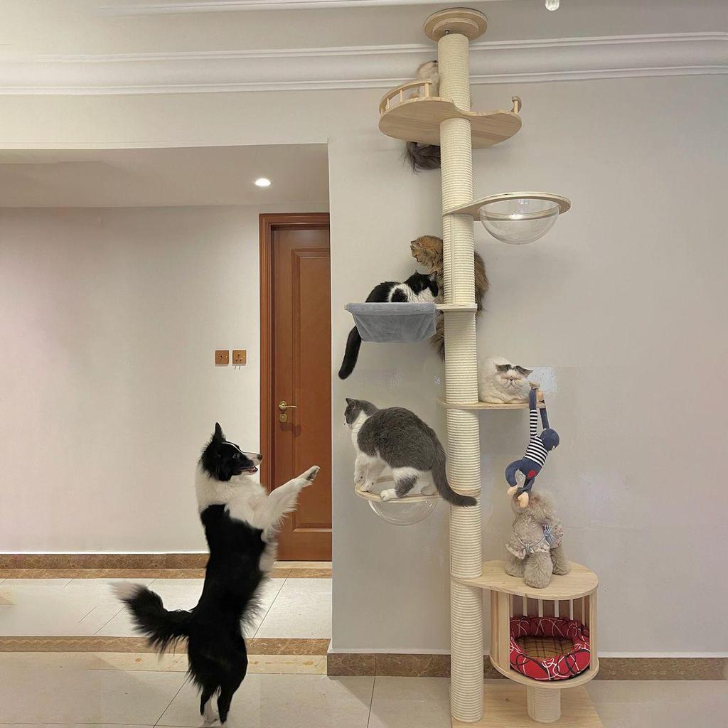Solid Wood Cat Condo & Bed with Integrated Tree and Space-Saving Design for Large and Small Cats