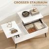 Height-Adjustable Coffee Table Living Room Table with Hidden Storage for Living Room, 50 X 100 Cm, White