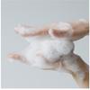Belif Super Knights Hyaluron Enzyme Powder Pack Cleanser 55g