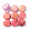 Airy Bloom Mesh Blush 5g (10 Colors)
