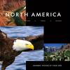 Bald Eagles Plush Doll Stand America Eagle Birds Cute Plush Toy Simulation Animal Stuffed Dolls