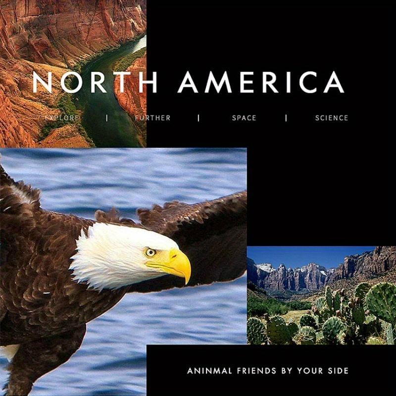 Bald Eagles Plush Doll Stand America Eagle Birds Cute Plush Toy Simulation Animal Stuffed Dolls