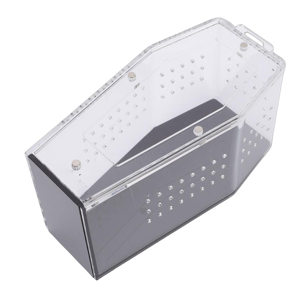 Acrylic  ing Spider Enclosure Versatile Ventilated Transparent Reptile Terrarium Box for Tarantula         Crab