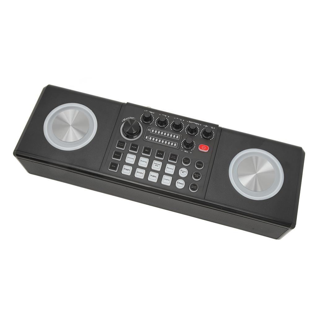 Karaoke Machine with 2 Microphones Portable Bluetooth Outdoor Sound Card Speaker Karaoke Machine Set for Home Party