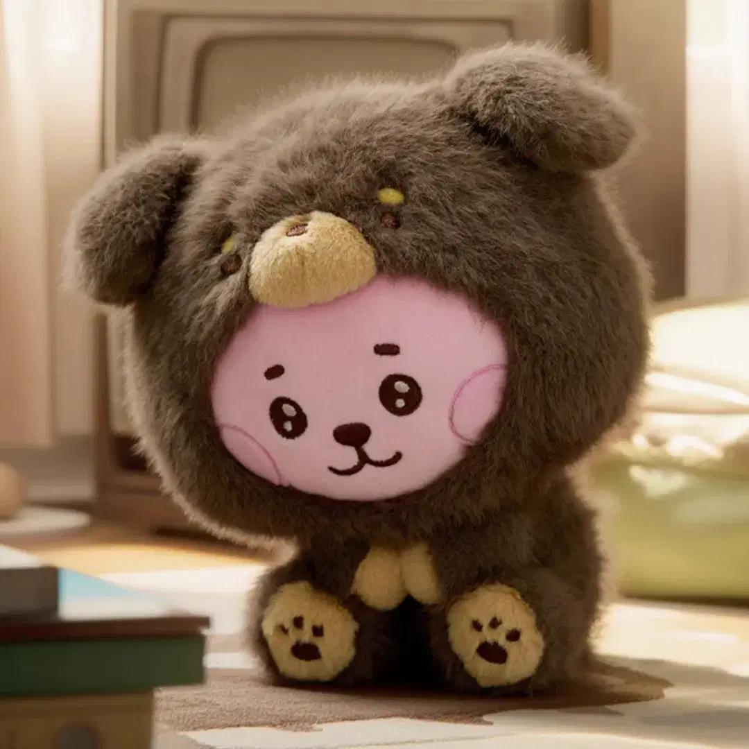 

BTS Bt21 Печенье Более Пушистое