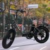 Ebike BLJ DZ-2030 500W Motor 48V 16AH Battery, Aluminum Alloy Frame, 20-inch Fat Tires, Urban Commuter Electric Bicycle.