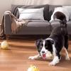 Puppy Teething Ball Teeth-cleaning And Bite-resistant Dog And Cat Favourite Toy Ball Won't Rot Toy Ball  Toy