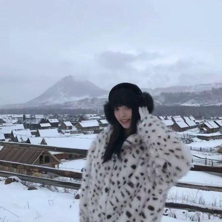 Winter Leopard Print Hooded Fashion Warm Environmentally Friendly Fur Plush Bobcat Print Coat Artificial Fur Jacket