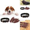 Classic Leather Dog Collar With Vintage Brass Buckle For Medium To Large Dogs