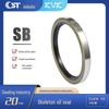 Skeleton Oil Seal & Rubber O-Ring for Construction Machinery