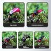 5Pcs Bionic Fishing Baits with Sharp Hook Compact Design Portable Rotatable Saltwater Freshwater Swimbaits Fly Fishing Lures
