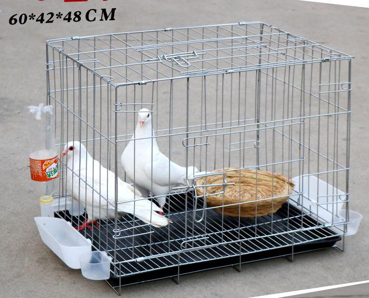 Large Pigeon Cage for Breeding & Pairing with Free Shipping - Ideal for Household Use