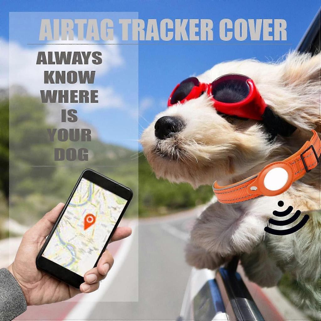 Hundehalsband, Verstellbares Nylonhalsband für Haustiere mit Apple Airtag Hundehalsbandhalter Leicht & Bequem Reflektierende Haustierhalsbänder mit Schnellverschluss B