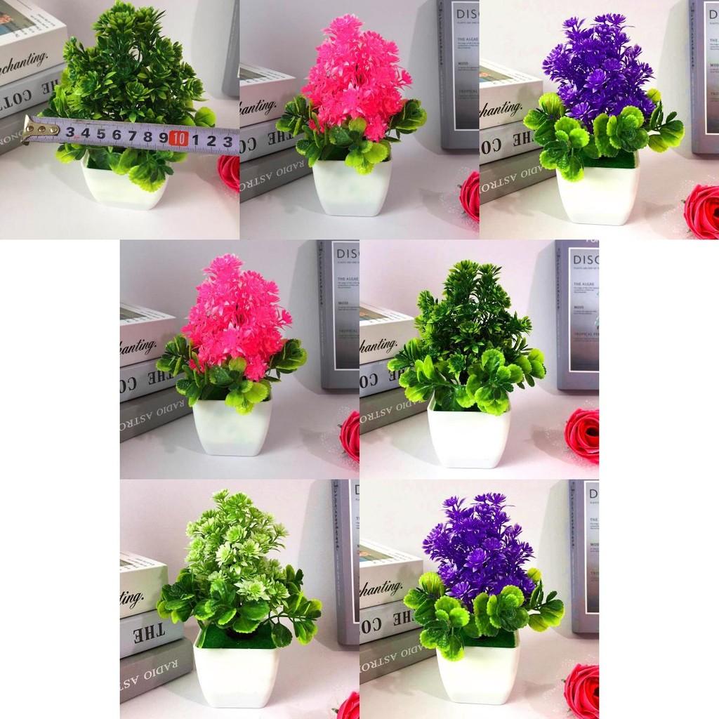 Artificial Flower And Foliage Miniature With Plastic Construction For Indoor Decoration