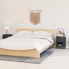Nightstands 2 pcs Anthracite 40 x 30 x 54.5 cm Steel and Tempered Glass
