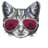 2Pcs Red Sunglasses Cool Cat Patches Wholesale Cuteanimal Embroidery Appliques Clothes Jeans Badges