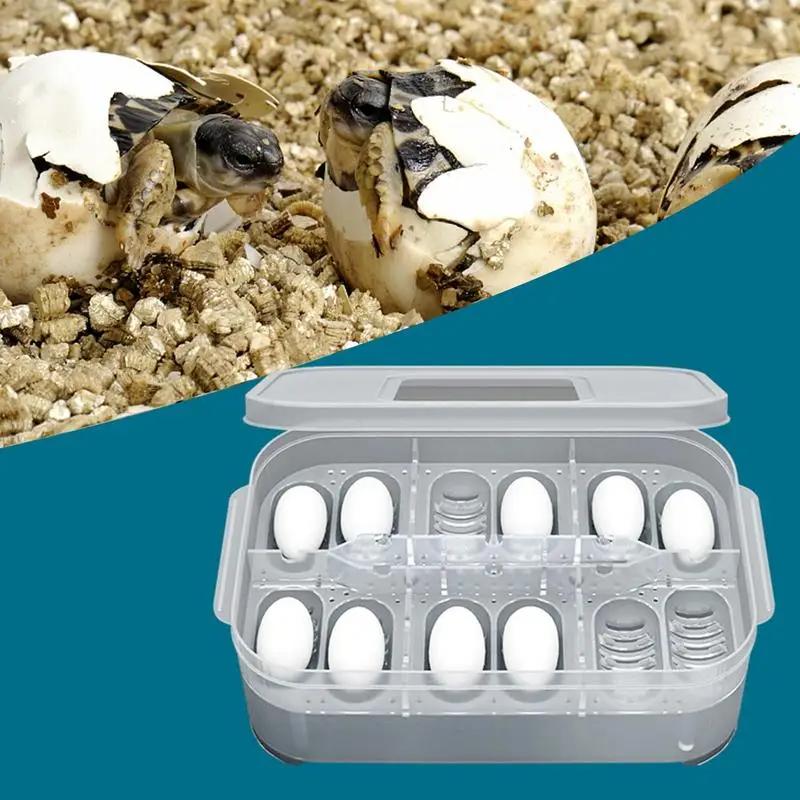 12 Fächer Schlüpfbox Schlange Eidechse Reptil Eiertablett Boxen Schlüpfende Eier Gerät Kletterndes Haustier Schildkröte Schildkröte Inkubator Zubehör